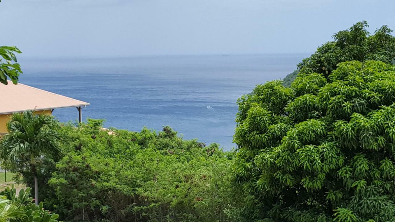 La Yole Des Caraibes Lägenhet Les Anses-d'Arlets Exteriör bild