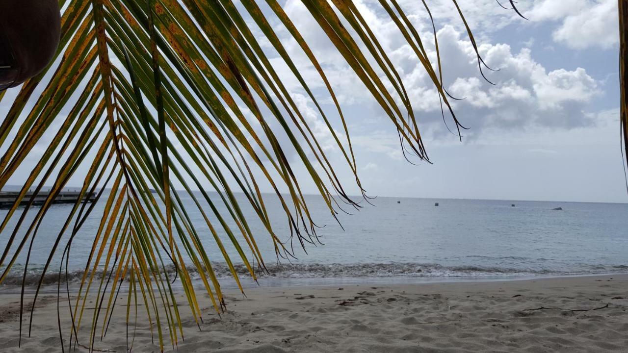 La Yole Des Caraibes Lägenhet Les Anses-d'Arlets Exteriör bild